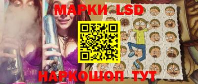 индика Гатчина