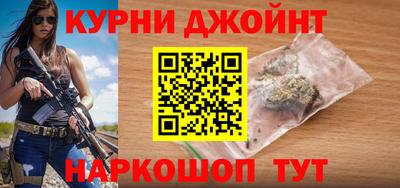 индика Гатчина