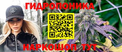 PSILOCYBIN Донской