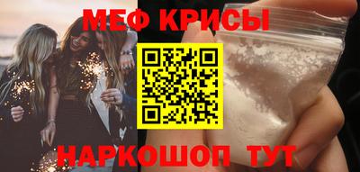 индика Гатчина