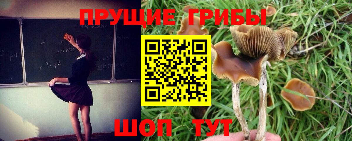 Псилоцибиновые грибы мухоморы  Вход с VPN  Чехов  Псилоцибиновые грибы мицелий 